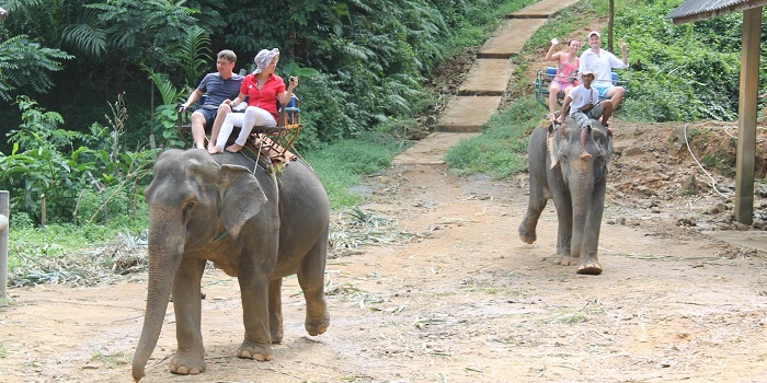 Экскурсия на слонах