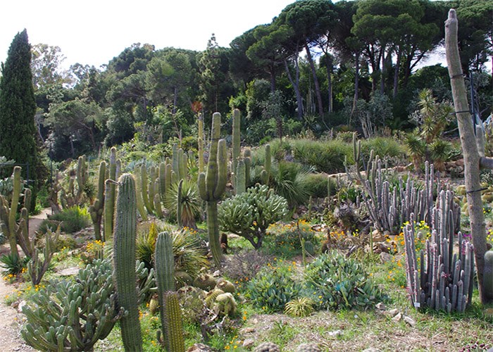 Ботанический сад в Бланес